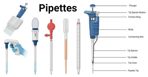 how to use single chanel pippette|how to dispense pipettes.